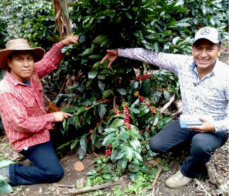 Farmers growing coffee in Chiapas Mexico